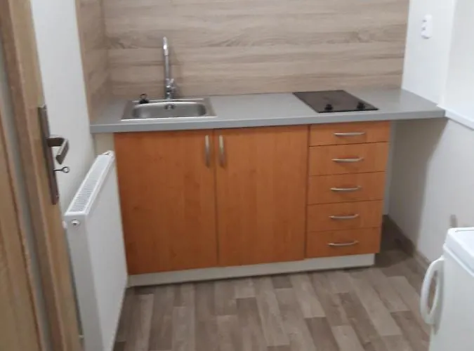 Apartman Plasy *